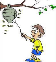hitting-hornets-nest-cartoon.jpg